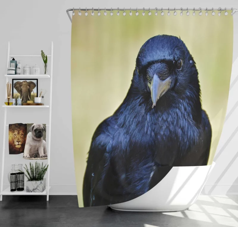 Raven Dark Charm Enigmatic Bird Shower Curtain