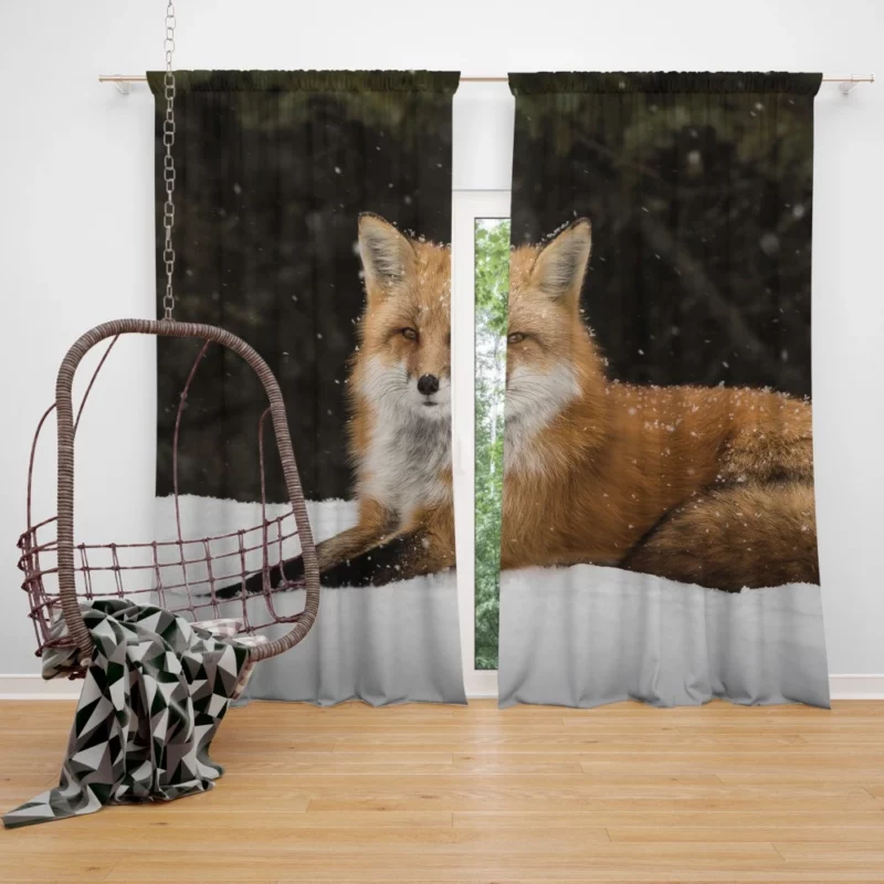 Red Fox Winter Wonderland Stroll Curtain