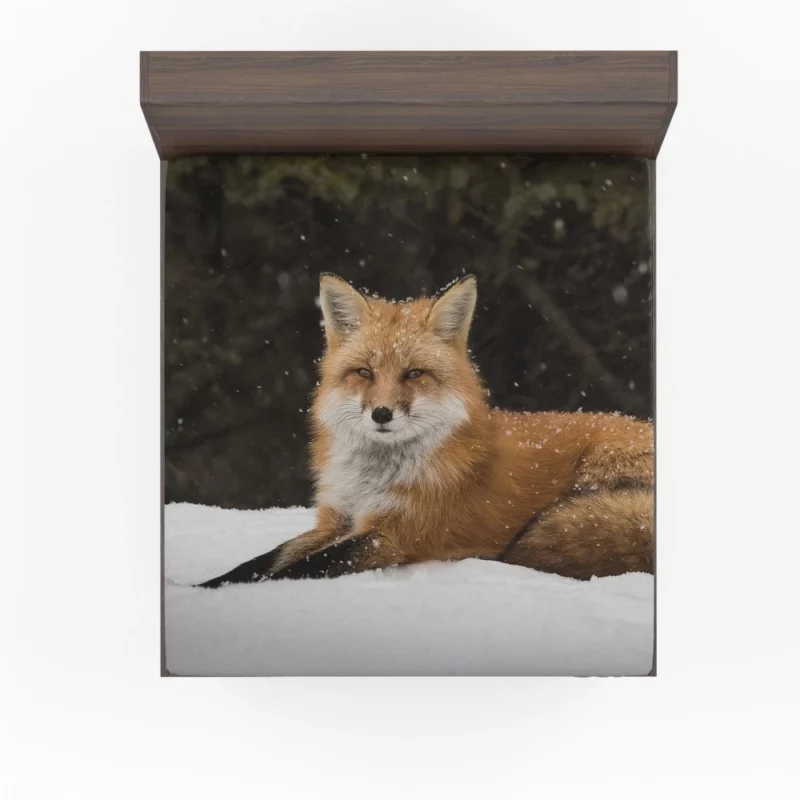 Red Fox Winter Wonderland Stroll Fitted Sheet 1