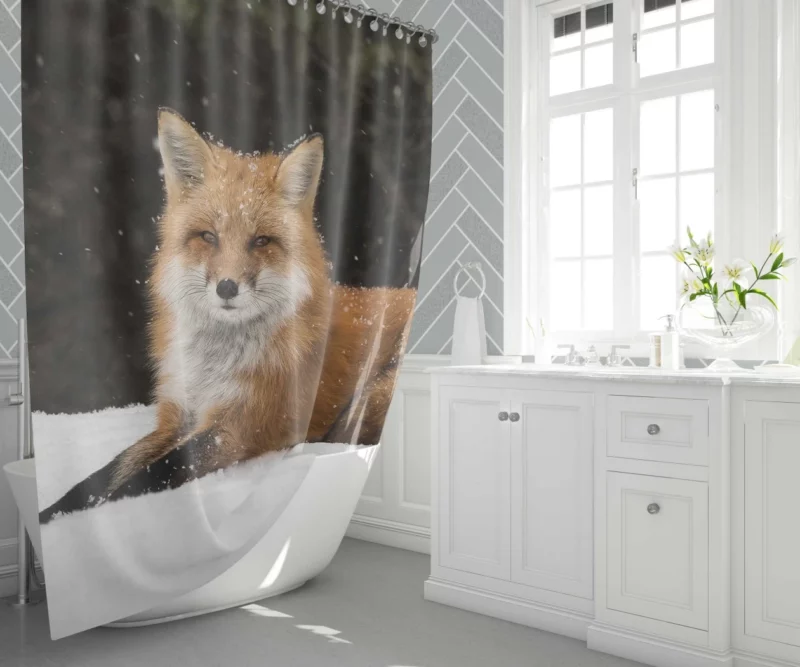 Red Fox Winter Wonderland Stroll Shower Curtain 1