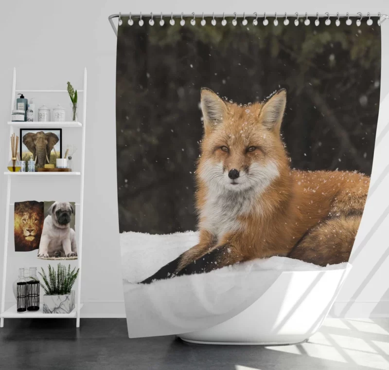 Red Fox Winter Wonderland Stroll Shower Curtain