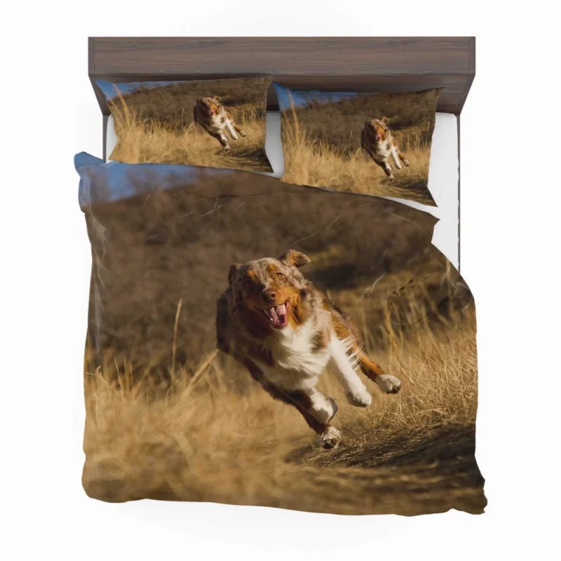 Red Merle Australian Shepherd Meadow Run Bedding Set 1