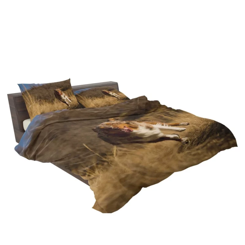 Red Merle Australian Shepherd Meadow Run Bedding Set 2