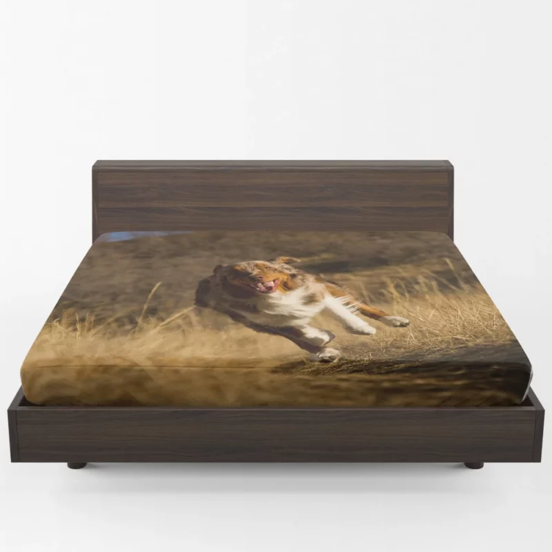 Red Merle Australian Shepherd Meadow Run Fitted Sheet