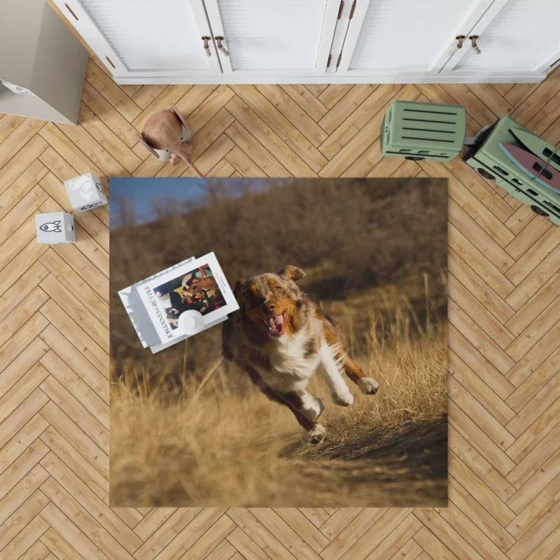 Red Merle Australian Shepherd Meadow Run Rug