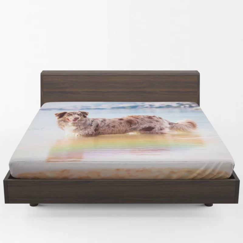 Red Merle Australian Shepherd by Water Fitted Sheet