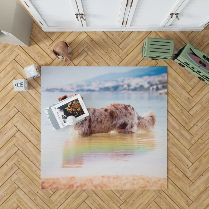 Red Merle Australian Shepherd by Water Rug