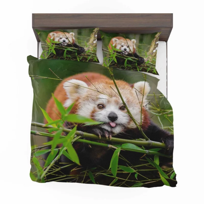 Red Panda Bedding Set 1