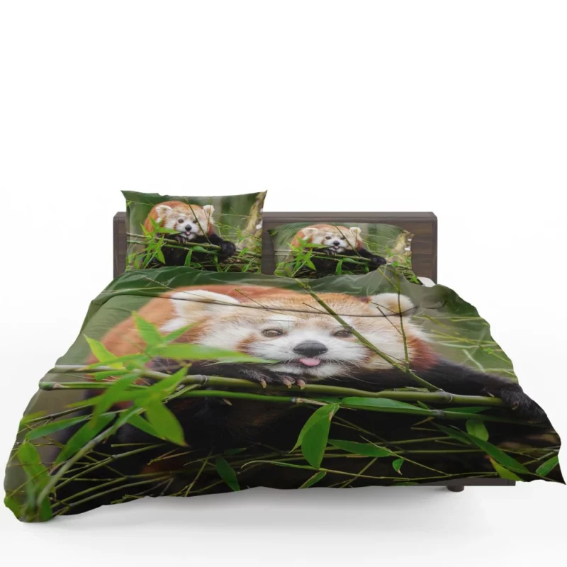 Red Panda Bedding Set