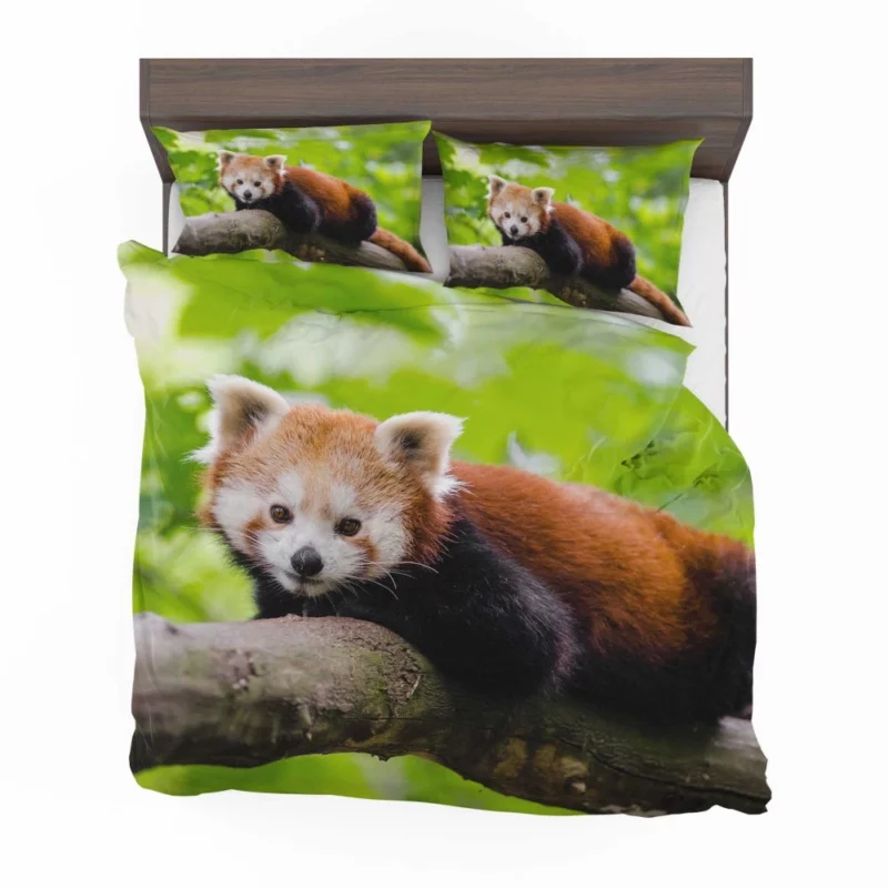 Red Panda Captivating Charm Furry Elegance Bedding Set 1