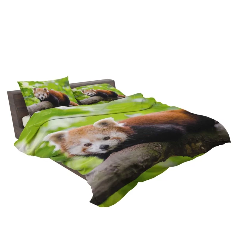 Red Panda Captivating Charm Furry Elegance Bedding Set 2