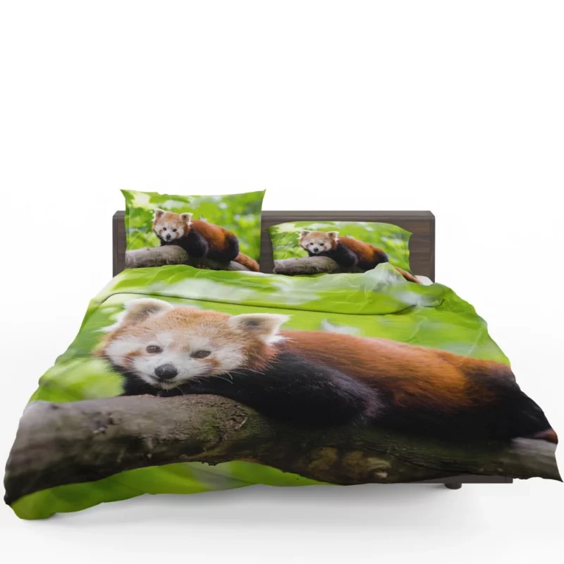 Red Panda Captivating Charm Furry Elegance Bedding Set