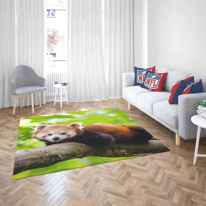 Red Panda Captivating Charm Furry Elegance Rug 2