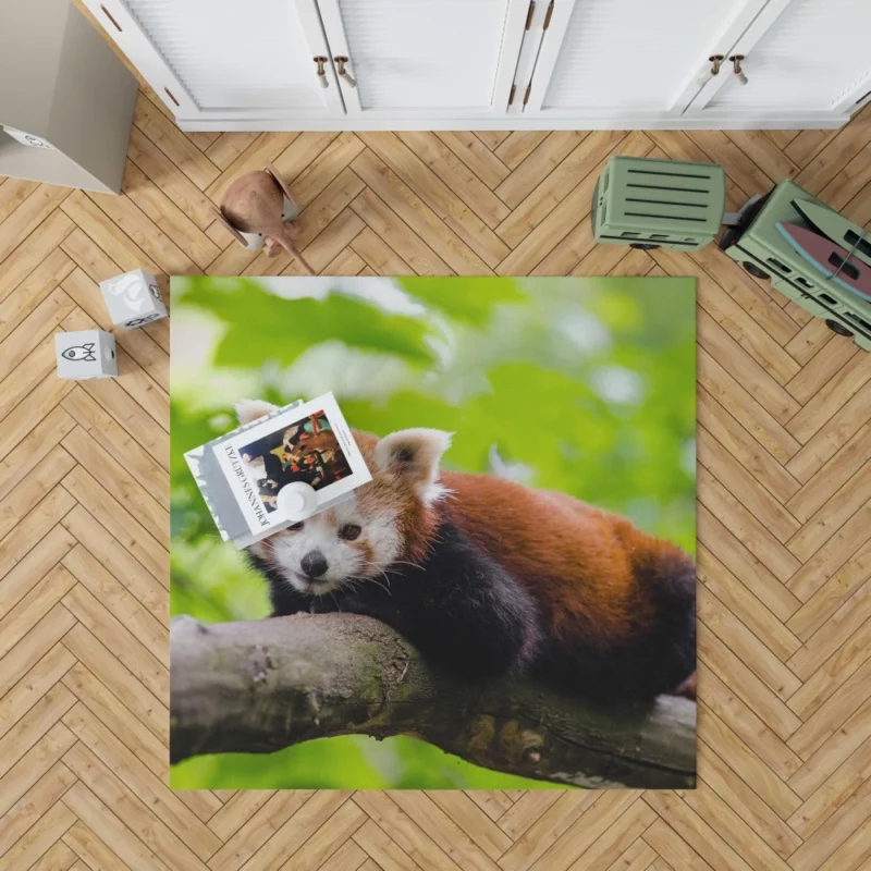 Red Panda Captivating Charm Furry Elegance Rug