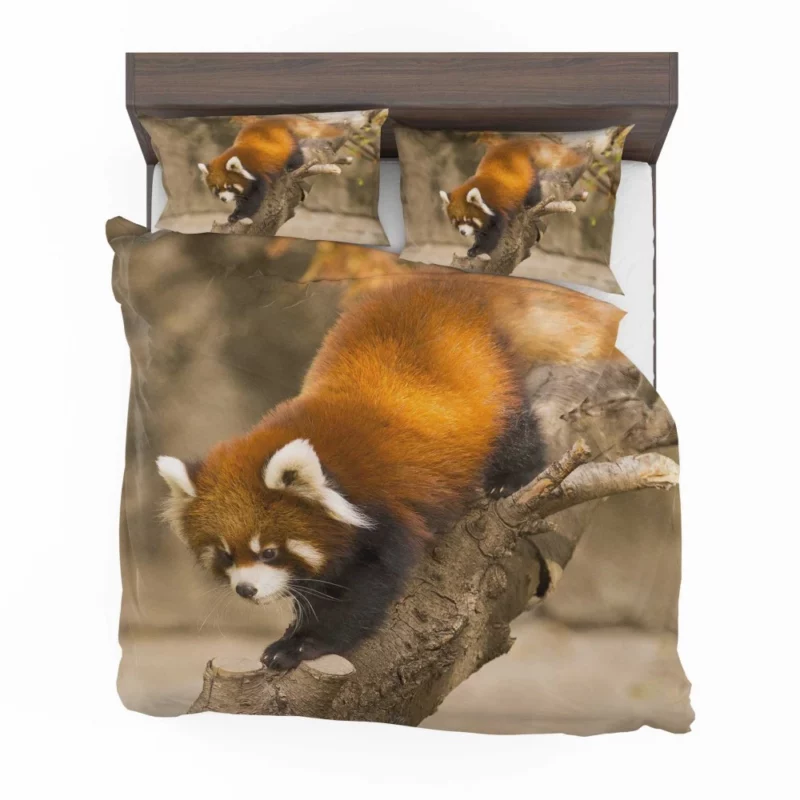 Red Panda Chicago Adventure Bedding Set 1