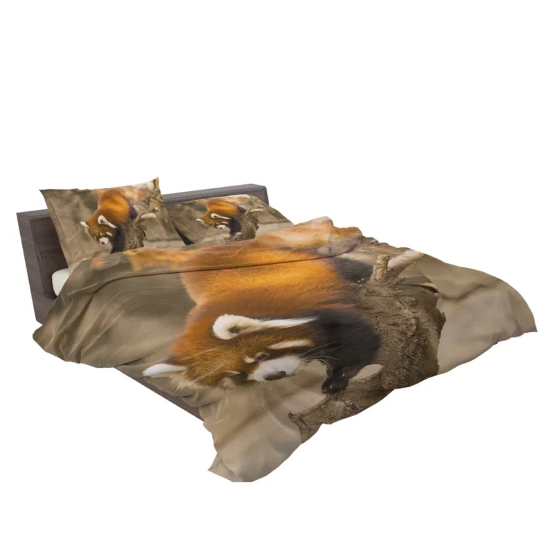 Red Panda Chicago Adventure Bedding Set 2