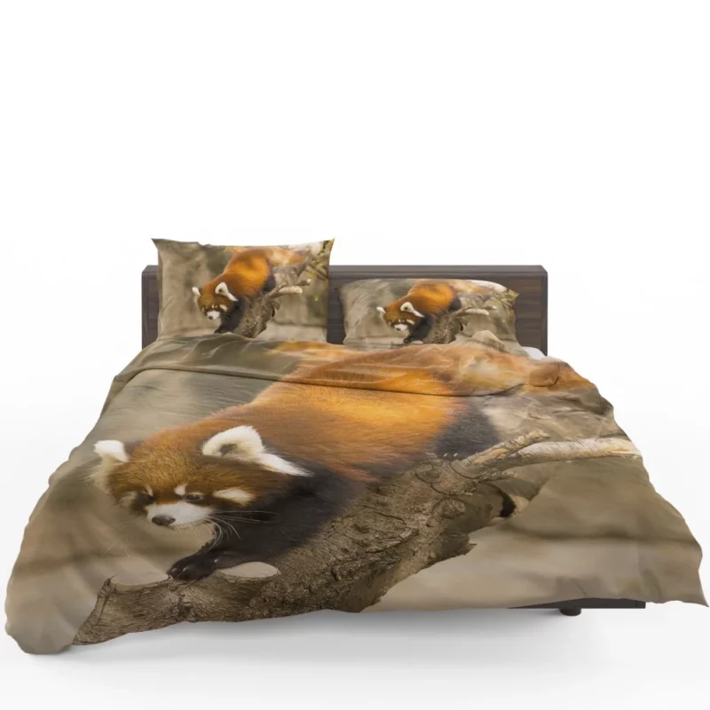 Red Panda Chicago Adventure Bedding Set