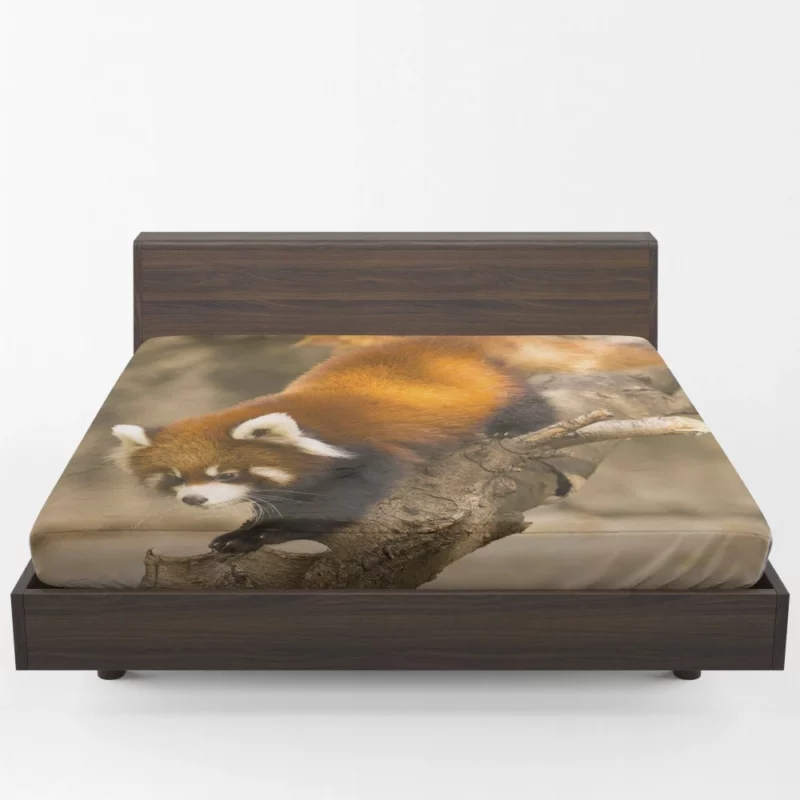 Red Panda Chicago Adventure Fitted Sheet