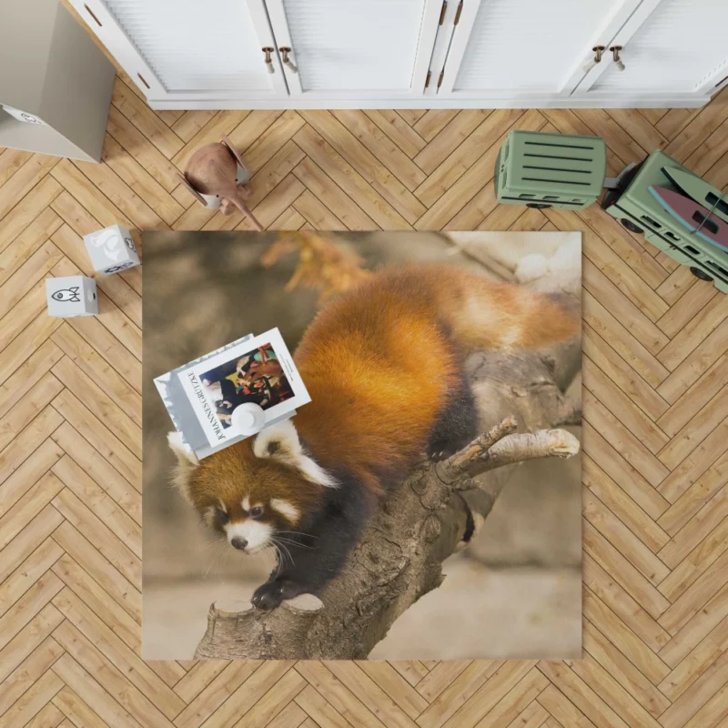 Red Panda Chicago Adventure Rug