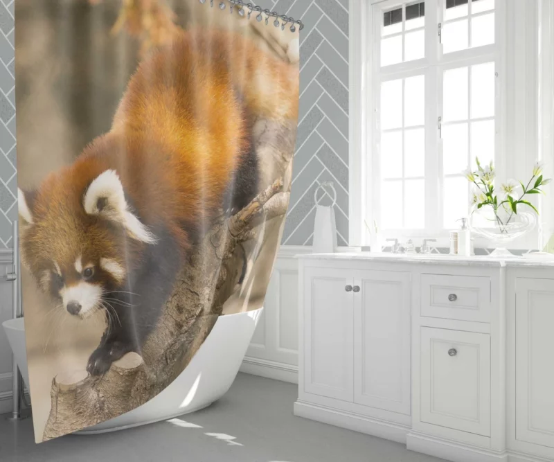 Red Panda Chicago Adventure Shower Curtain 1