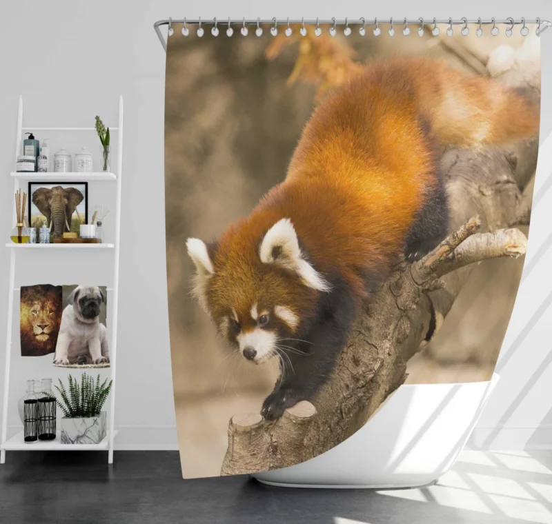 Red Panda Chicago Adventure Shower Curtain