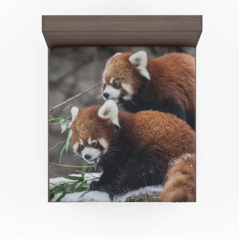 Red Panda Chicagoland Excursion Fitted Sheet 1