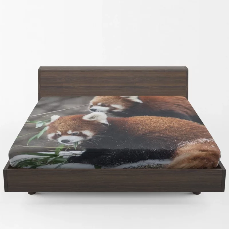 Red Panda Chicagoland Excursion Fitted Sheet