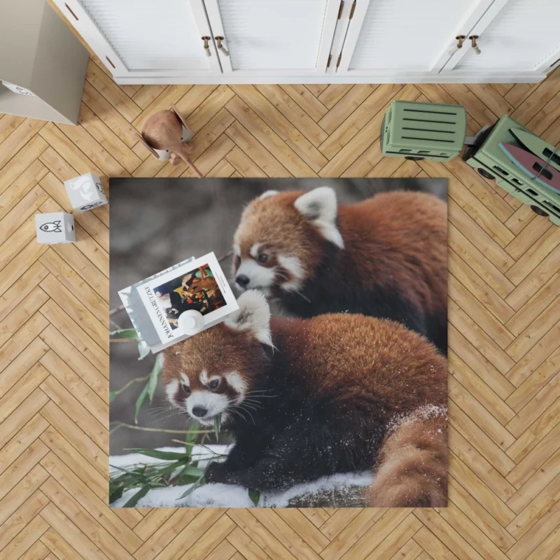 Red Panda Chicagoland Excursion Rug