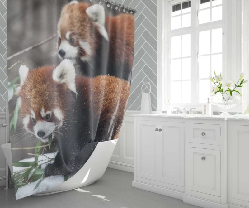 Red Panda Chicagoland Excursion Shower Curtain 1