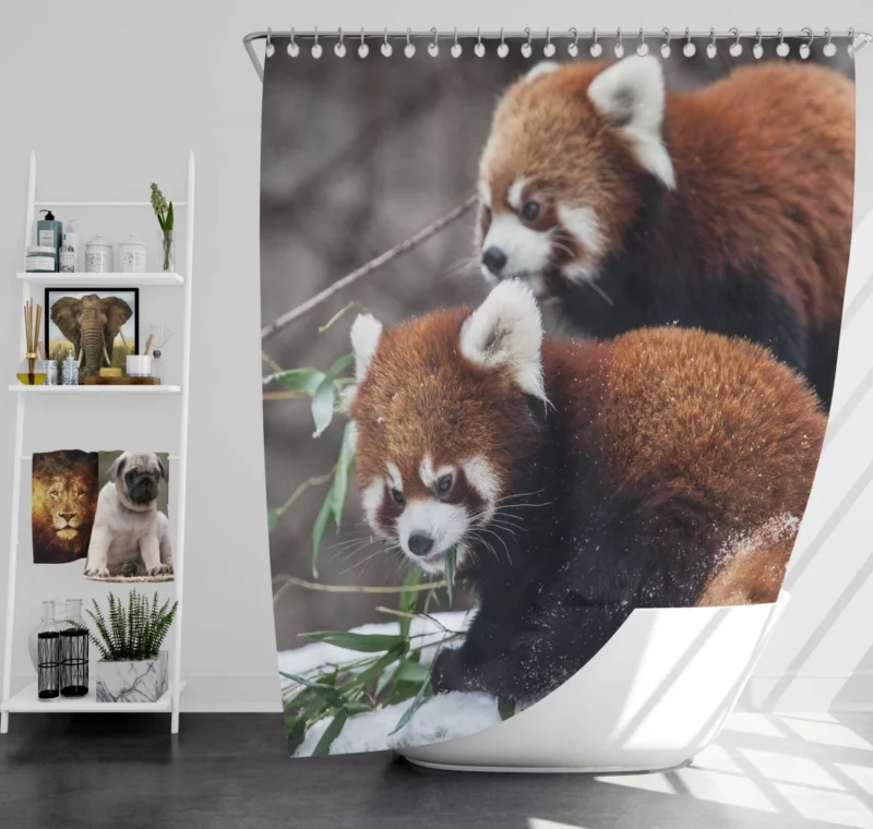 Red Panda Chicagoland Excursion Shower Curtain