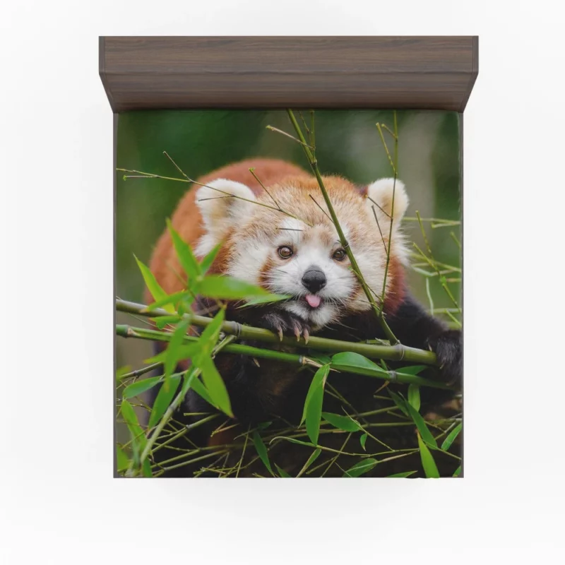 Red Panda Fitted Sheet 1