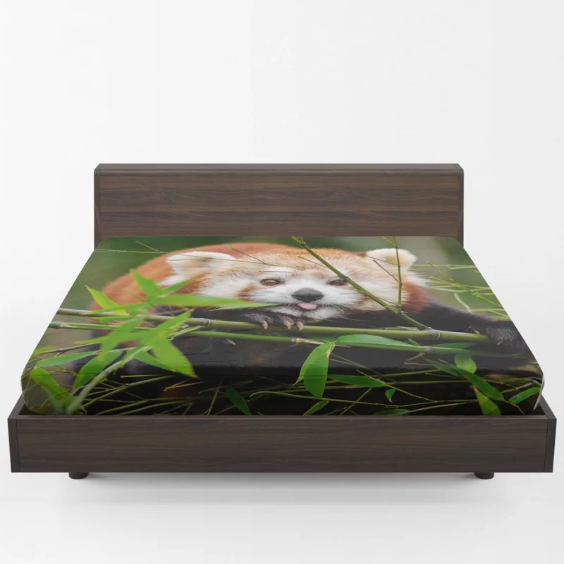 Red Panda Fitted Sheet