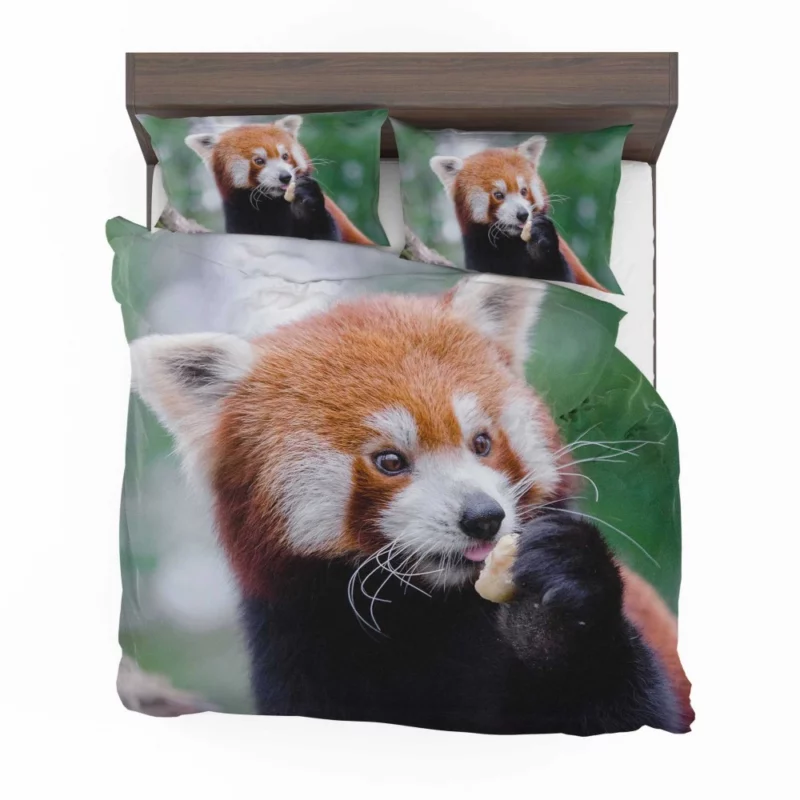 Red Panda Furry Innocence Bedding Set 1