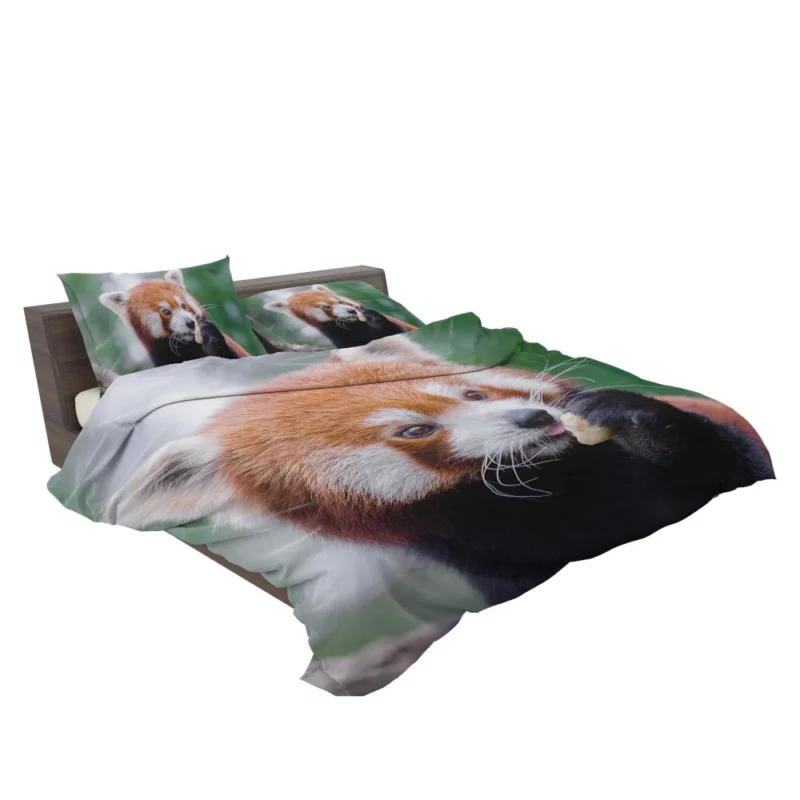 Red Panda Furry Innocence Bedding Set 2