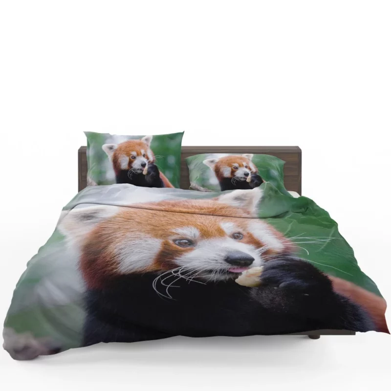 Red Panda Furry Innocence Bedding Set