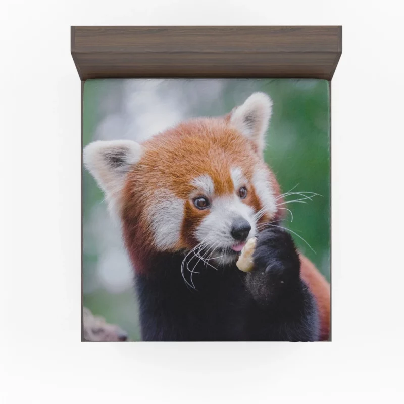 Red Panda Furry Innocence Fitted Sheet 1