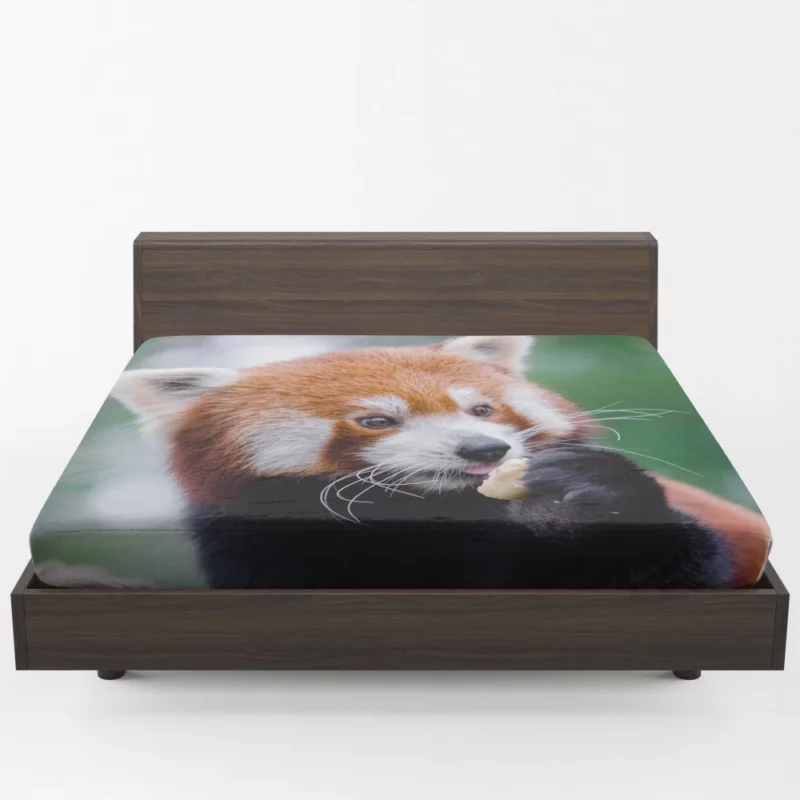 Red Panda Furry Innocence Fitted Sheet