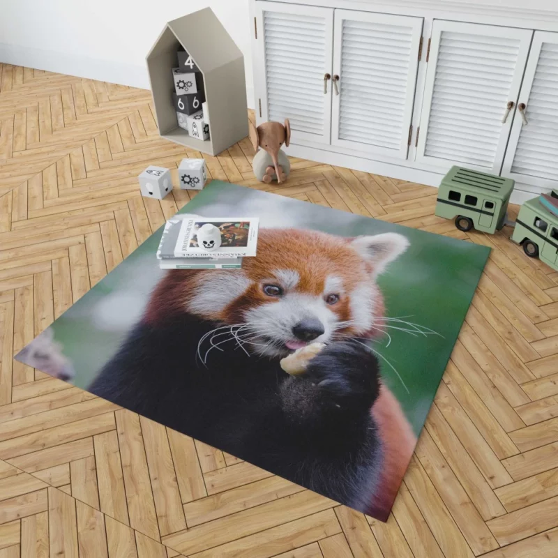 Red Panda Furry Innocence Rug 1