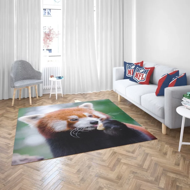 Red Panda Furry Innocence Rug 2