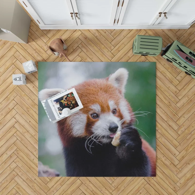 Red Panda Furry Innocence Rug