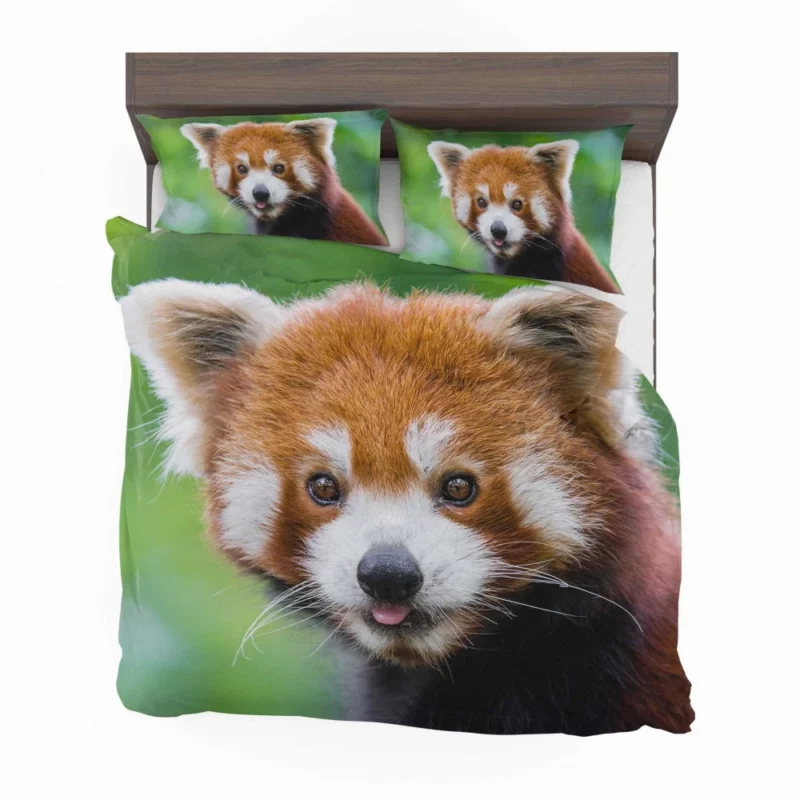 Red Panda Intense Stare Nature Wonder Bedding Set 1