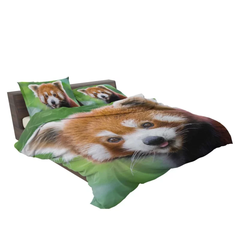 Red Panda Intense Stare Nature Wonder Bedding Set 2