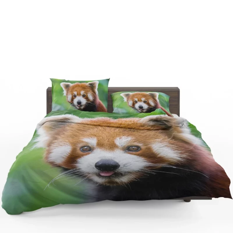 Red Panda Intense Stare Nature Wonder Bedding Set