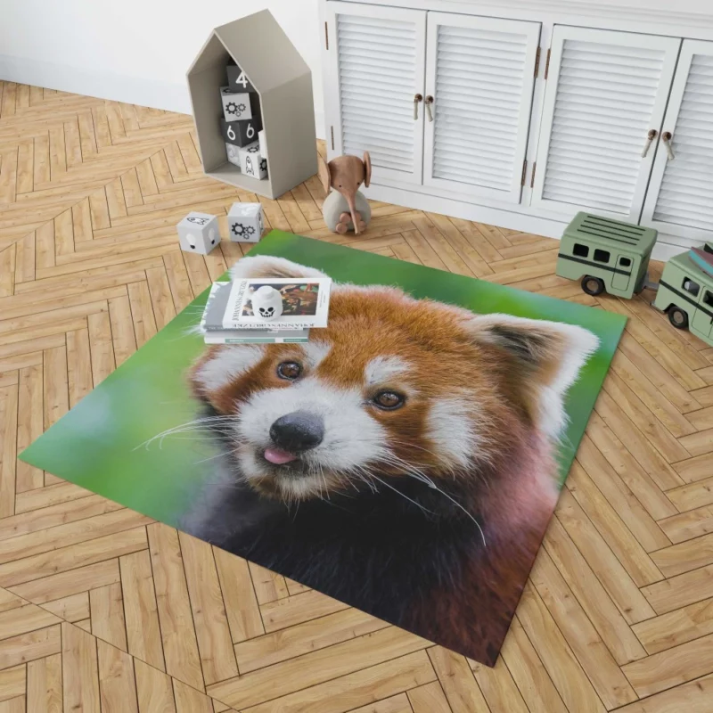 Red Panda Intense Stare Nature Wonder Rug 1