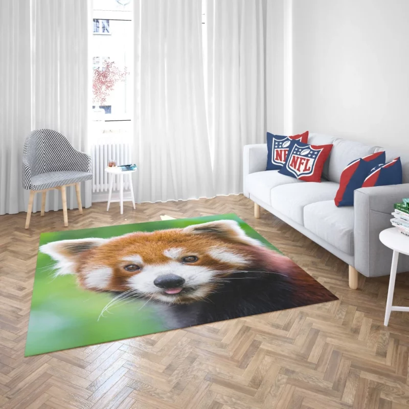 Red Panda Intense Stare Nature Wonder Rug 2