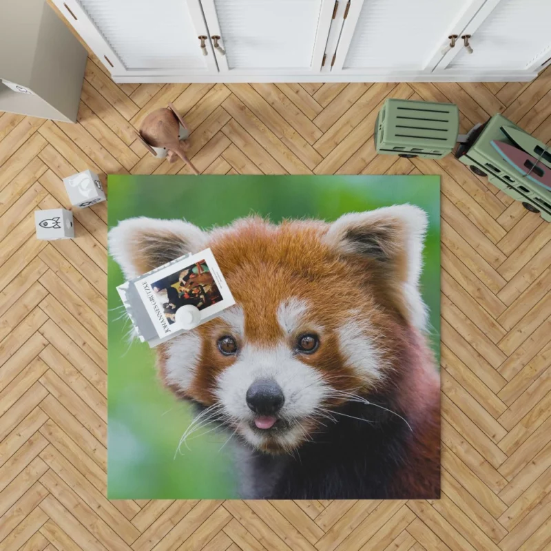 Red Panda Intense Stare Nature Wonder Rug