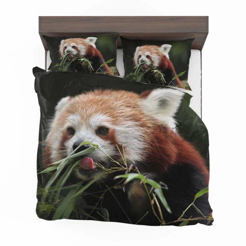 Red Panda Playful Charm Bedding Set 1