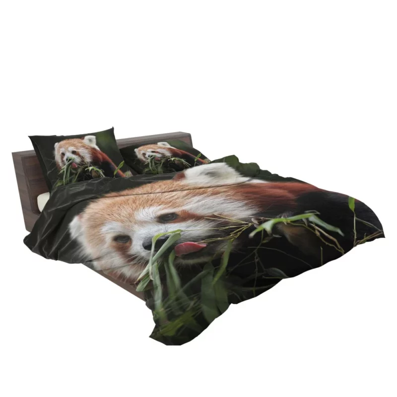 Red Panda Playful Charm Bedding Set 2