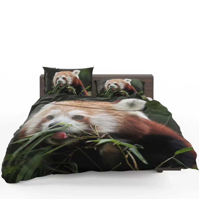 Red Panda Playful Charm Bedding Set