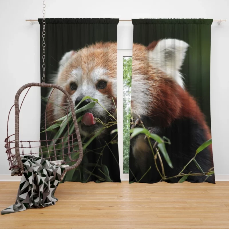 Red Panda Playful Charm Curtain